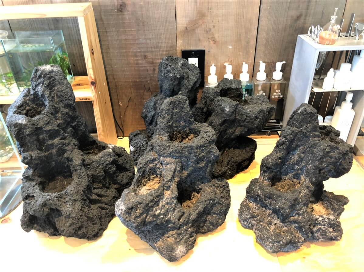 雲山石 溶岩石 入荷！ | color