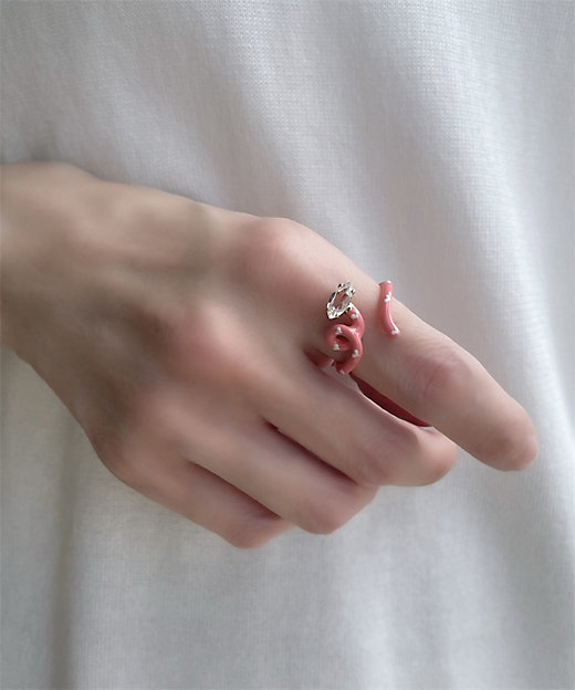 ベア・ボンジャスカ×アッシュ・ペー・フランス 40th リング