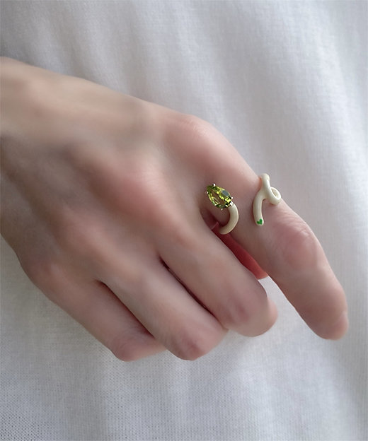 ベア・ボンジャスカ×アッシュ・ペー・フランス 40th リング