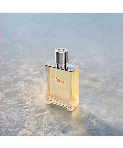 Hermès（Hermès） テール ドゥ エルメス オー ジヴレー