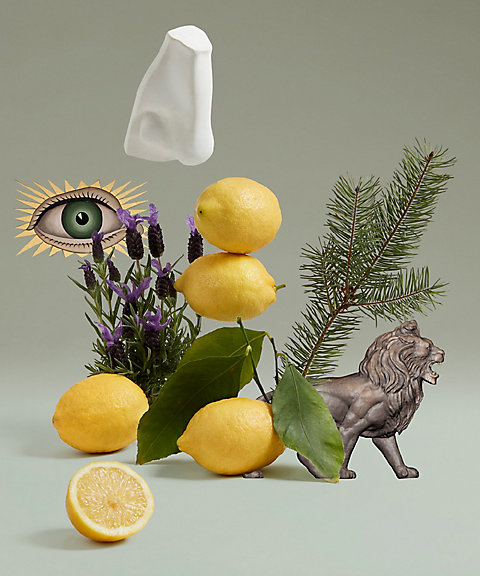 ペンハリガン（PENHALIGONS） ブレナム ブーケ オードトワレ 通販