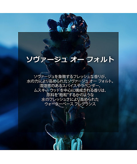 ディオール（Dior） ソヴァージュ オー フォルト 通販 | 【ISETAN