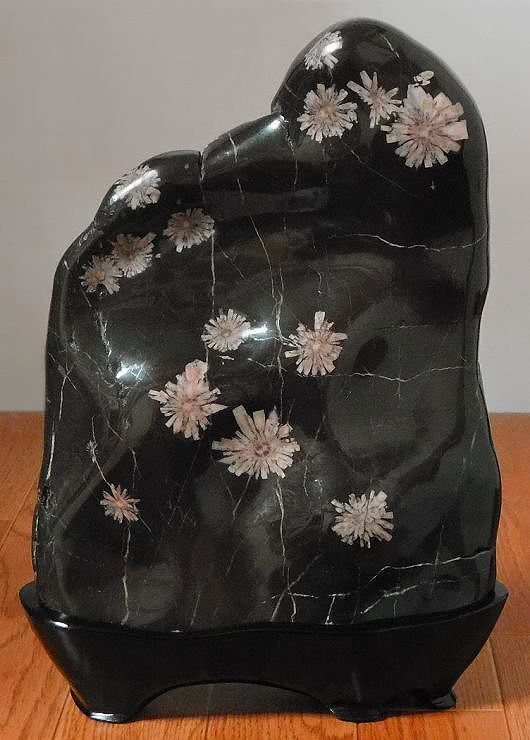 緋山酔恭「山水石美術館」 全国の水石・美石を紹介 菊花石 Ⅰ