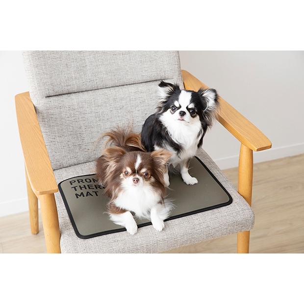 JALとっておきの逸品｜〔PROMO THERMO〕プロモサーモマット ブラック
