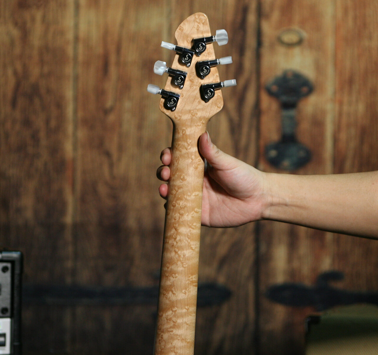 HP2 Guitar - エレキギター逸品館MI事業部 | 楽器および関連製品輸入