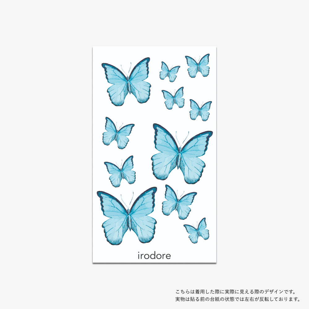 モルフォ蝶の旅立ち[ID: sor0670] – irodore（旧suhada）