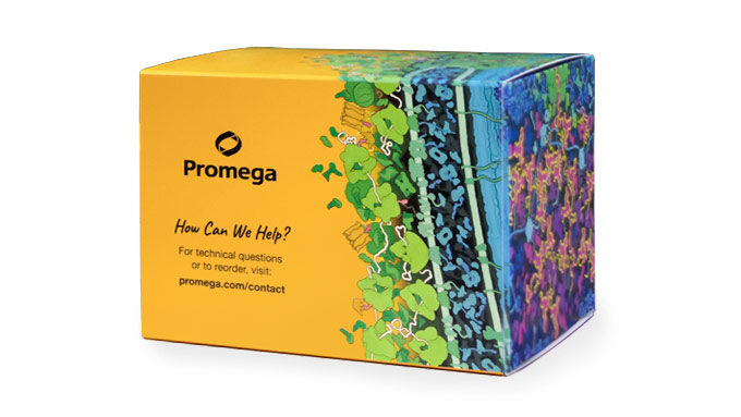 EXO-NET® Pan-Exosome Capture and Nucleic Acid Extraction Solutions