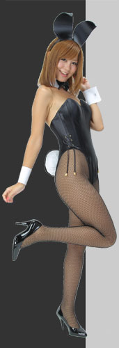 バニーガール向上委員会｜バニーガールの魅力を追求するグループ