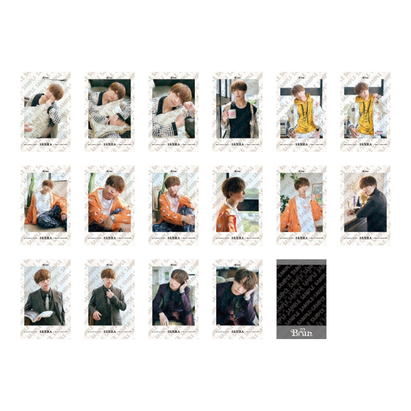 浦島坂田船 センラ ランダムミニフォトカード～Brun～ | j-hobby