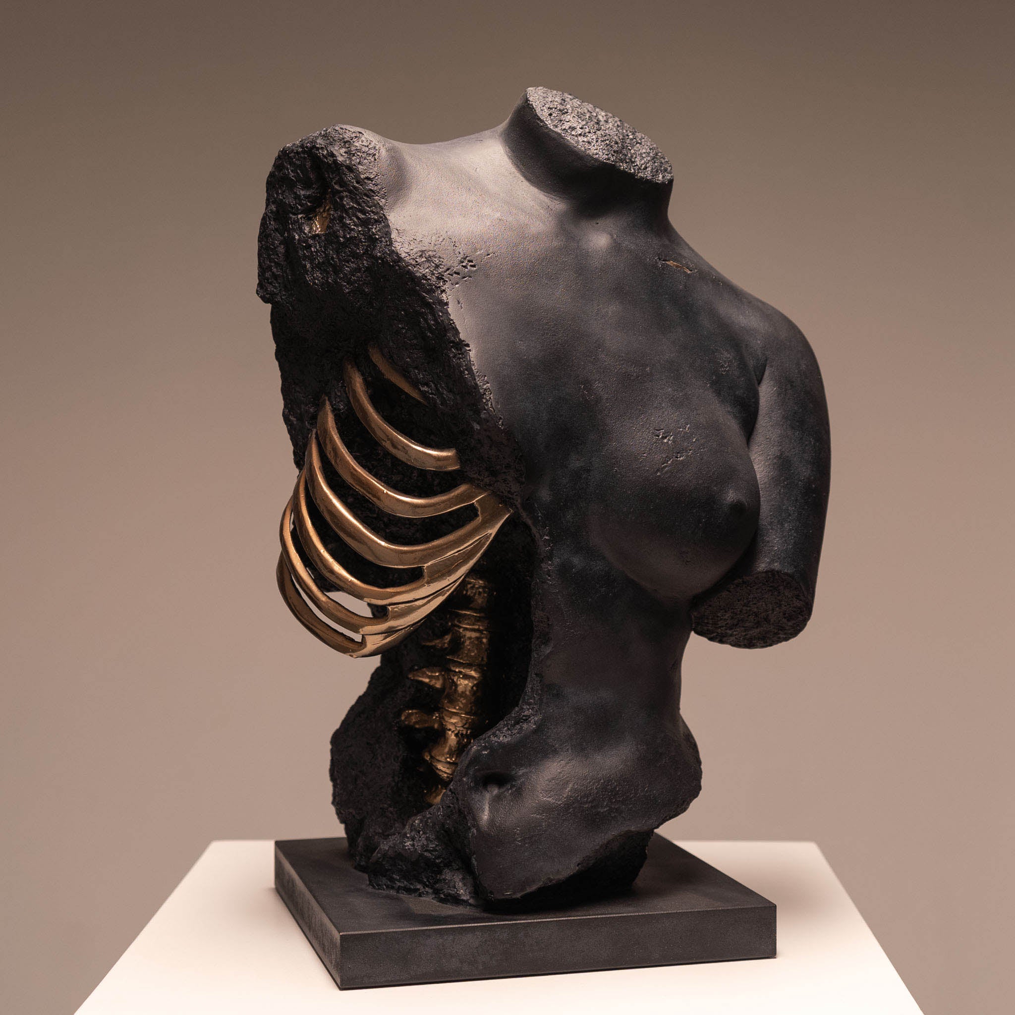 Venus & Gaddi – Jack of the Dust