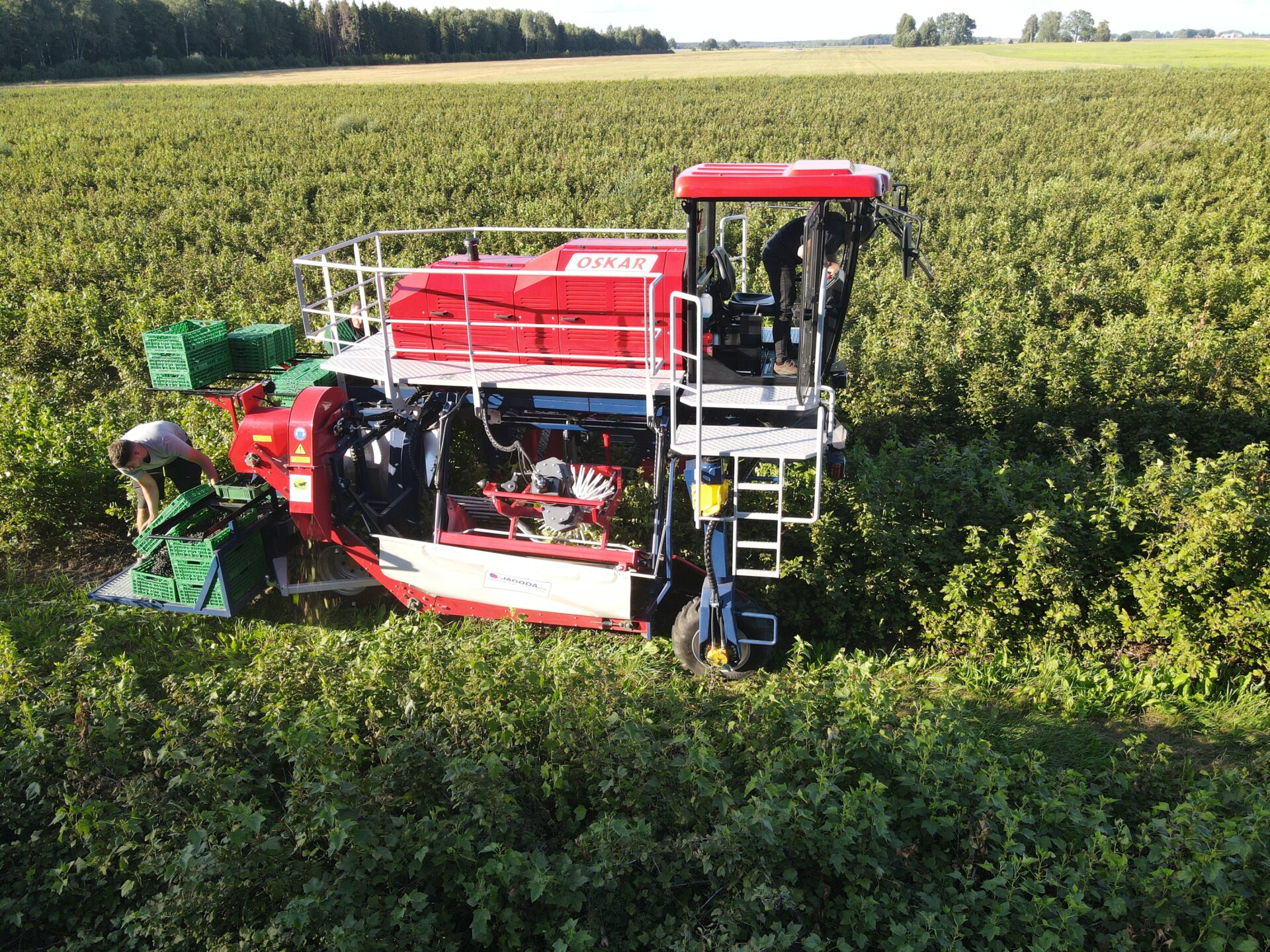 Self-propelled Berry Harvester OSKAR 4WD | JAGODA JPS