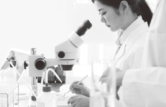 JAPAN GALS co.,ltd | （株）ジャパンギャルズ公式サイト – Just