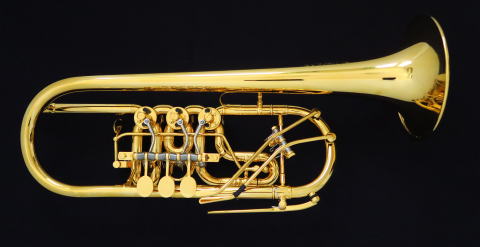 ヴォトルーバ C管のページ