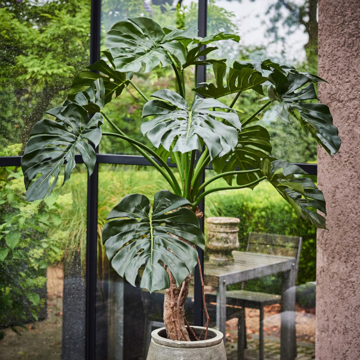 完売】大型 フェイクグリーン「モンステラ 135cm シルカ（Silk-ka