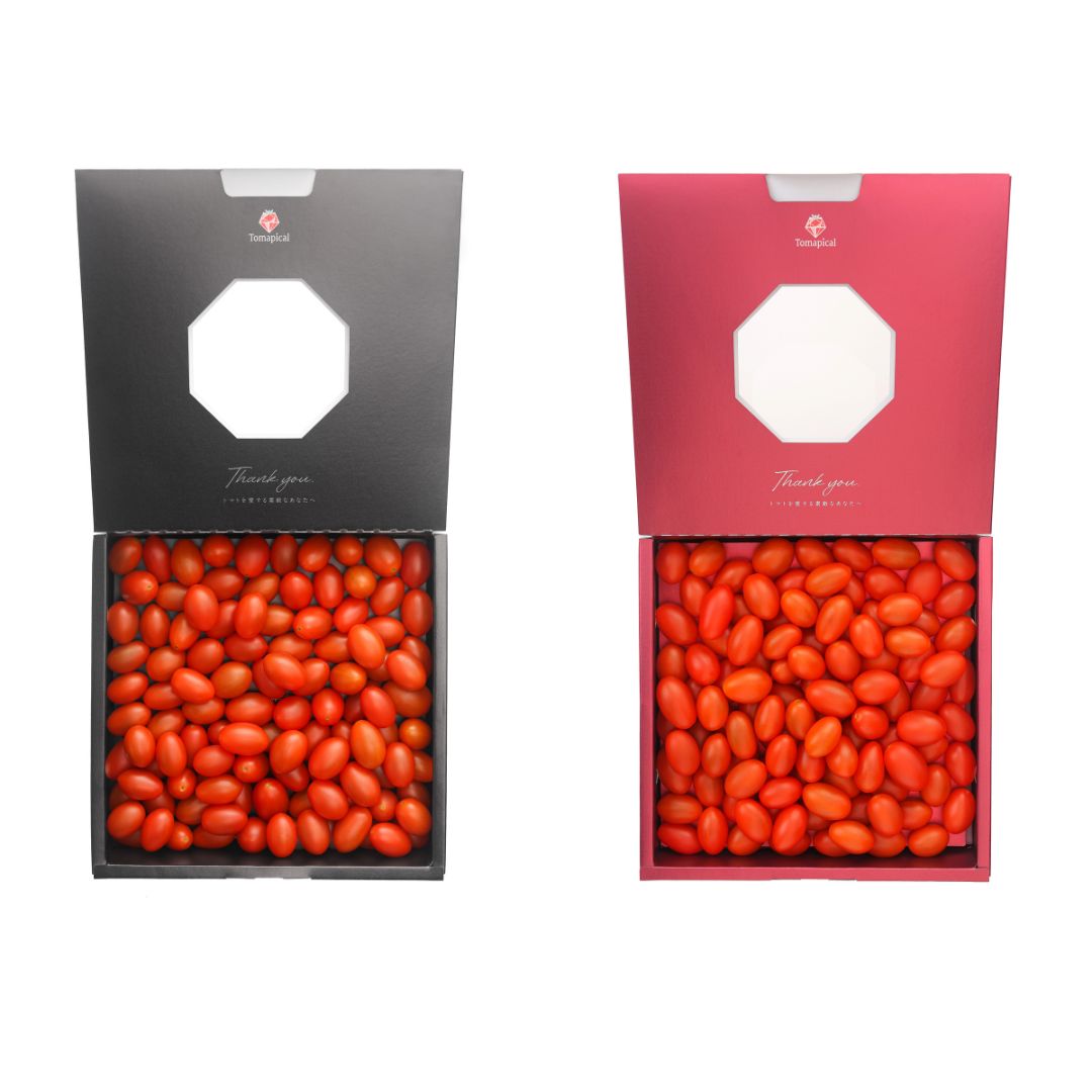 トマピカルトマト500g・1kg - ジェイ・イー・ティ・アグリ