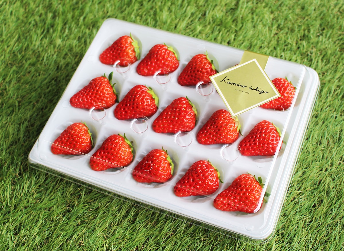 神石イチゴファームのいちご - 神石高原町 観光ナビ