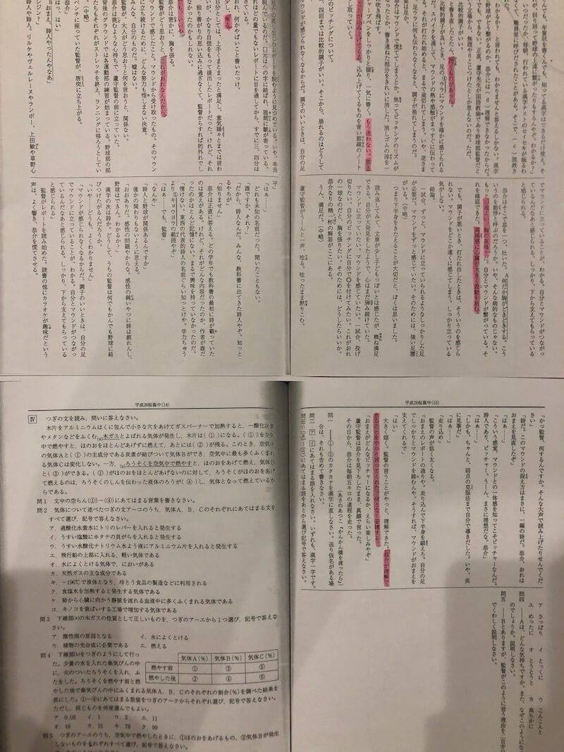 中学受験】国語の物語文の読み方、解き方を桜蔭中学の物語文で解説する