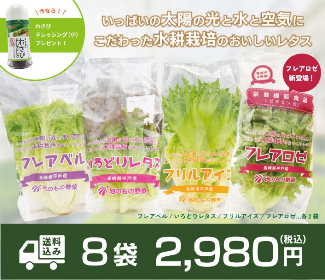 長崎県平戸産 水耕栽培リーフレタス(平戸レタス)の4種類セット | 地の