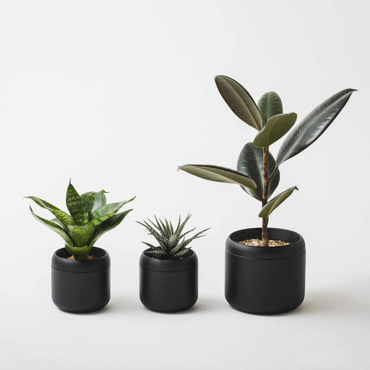 PLANT POT HACHI