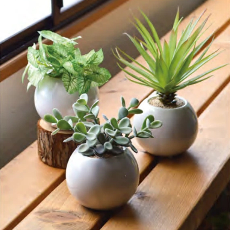 雑貨卸、雑貨仕入れ（【ドラゴンボールZ】手ぬぐい 日本製) | 雑貨卸