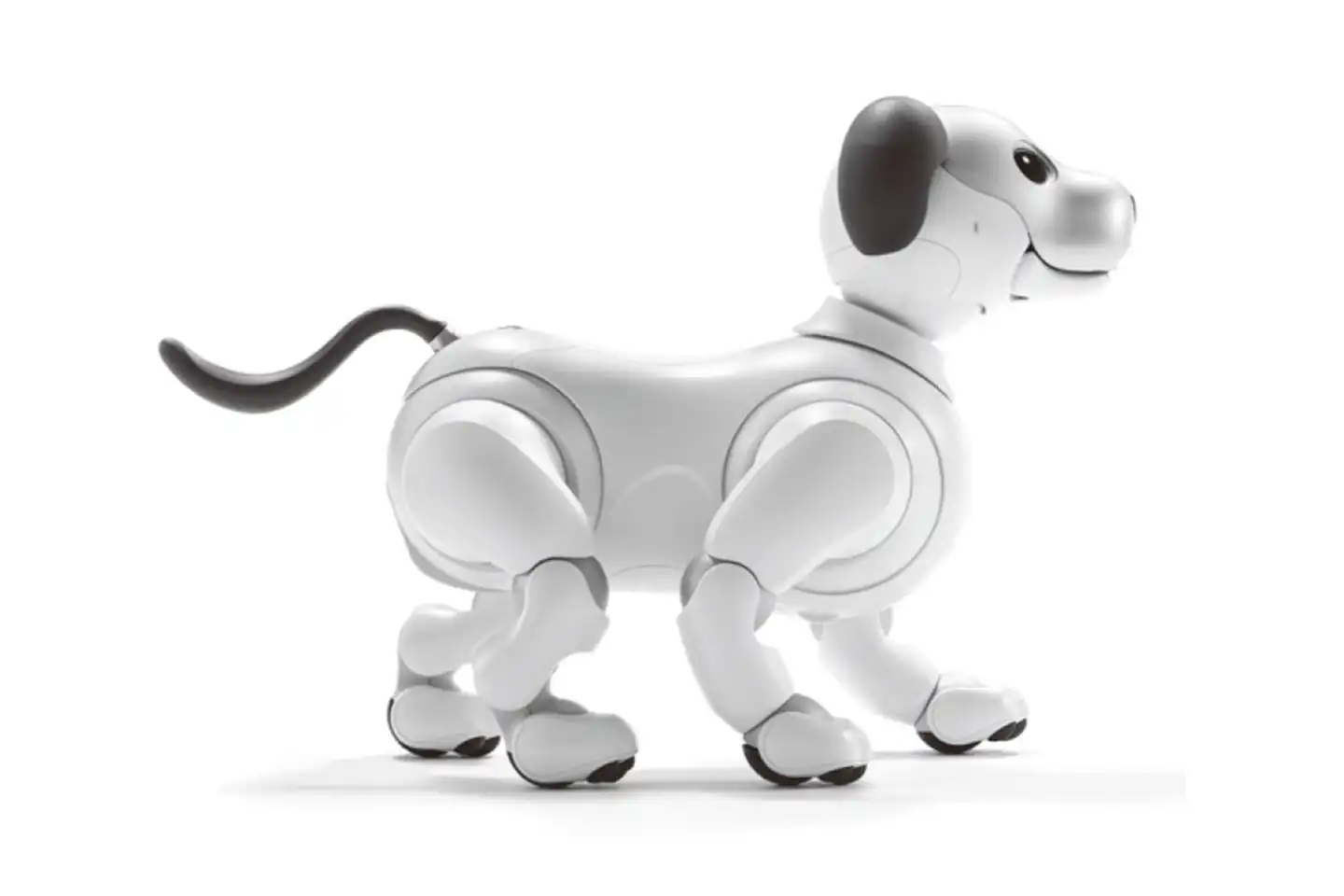 aibo エンタテインメントロボット