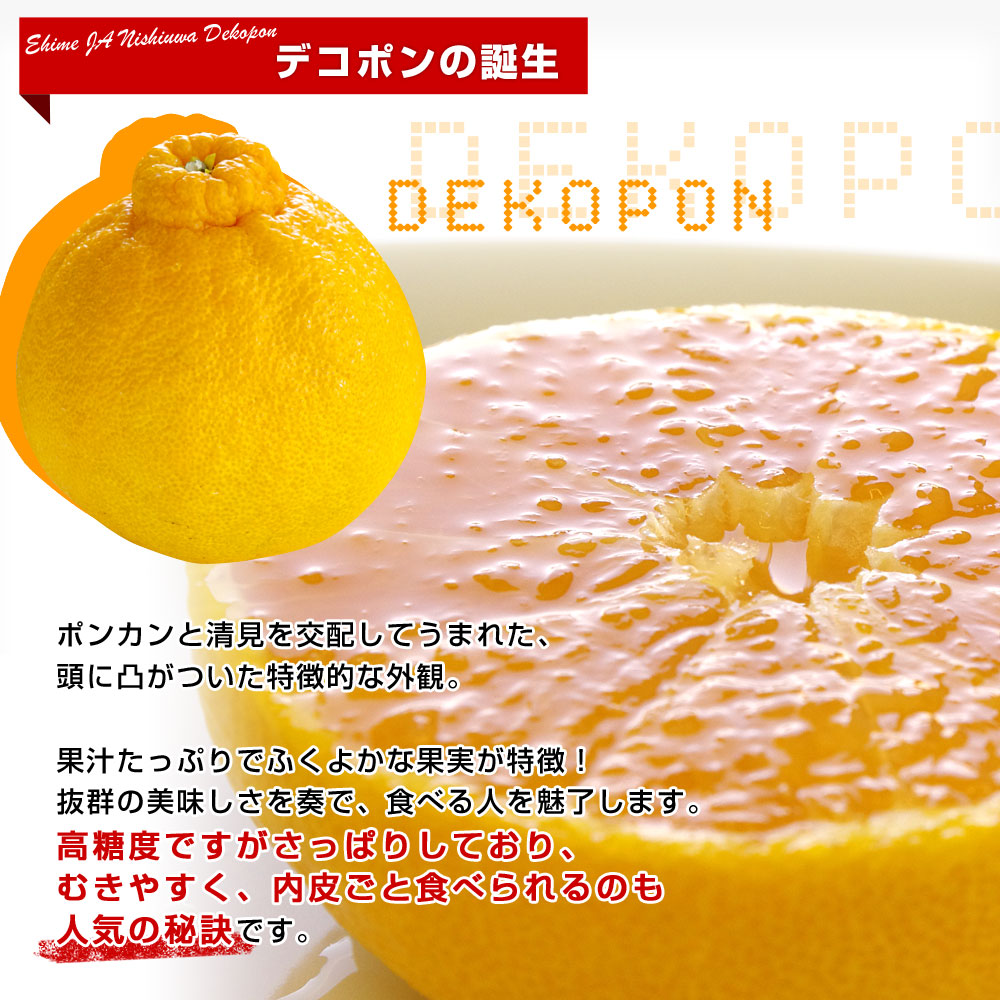 愛媛県 JAにしうわ デコポン 優品 3LからLサイズ 約5キロ（18玉から24