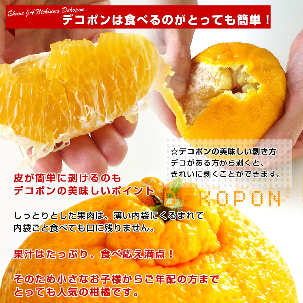 愛媛県 JAにしうわ デコポン 優品 3LからLサイズ 約5キロ（18玉から24