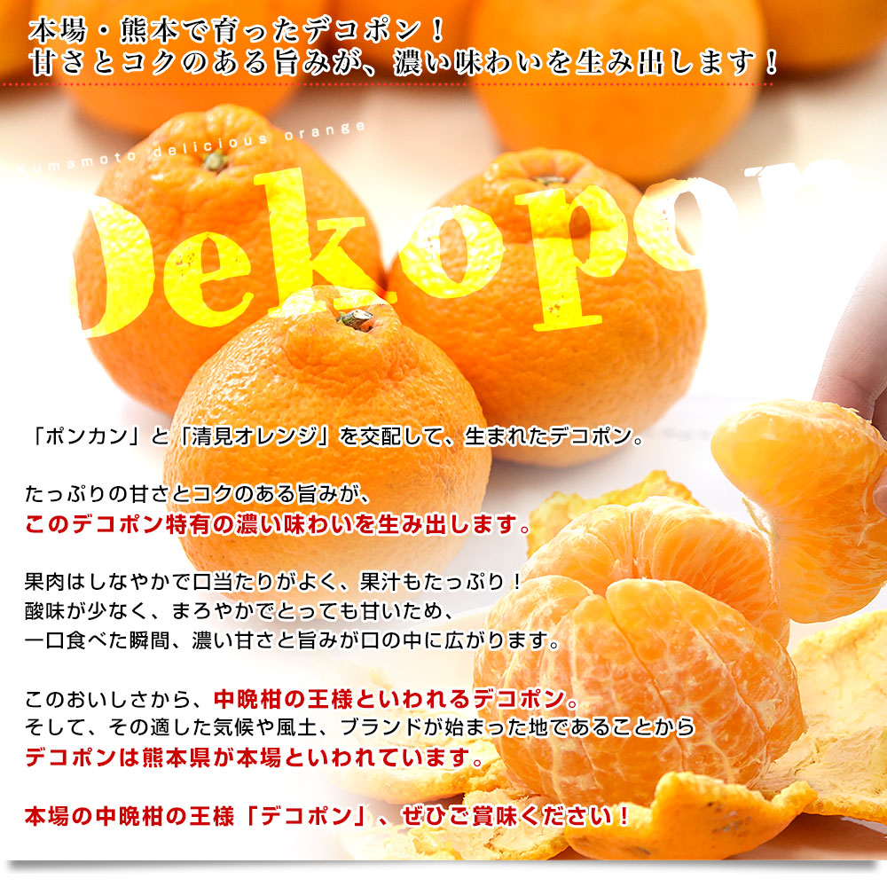 d_orange682_01.jpg