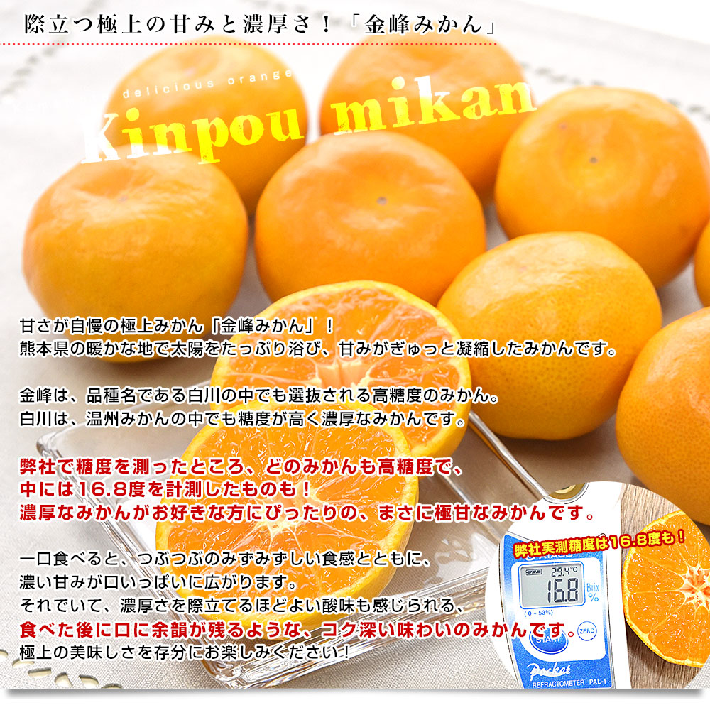 熊本県産 金峰柑橘共同組合 金峰みかん 赤秀品 MからSサイズ 約3キロ