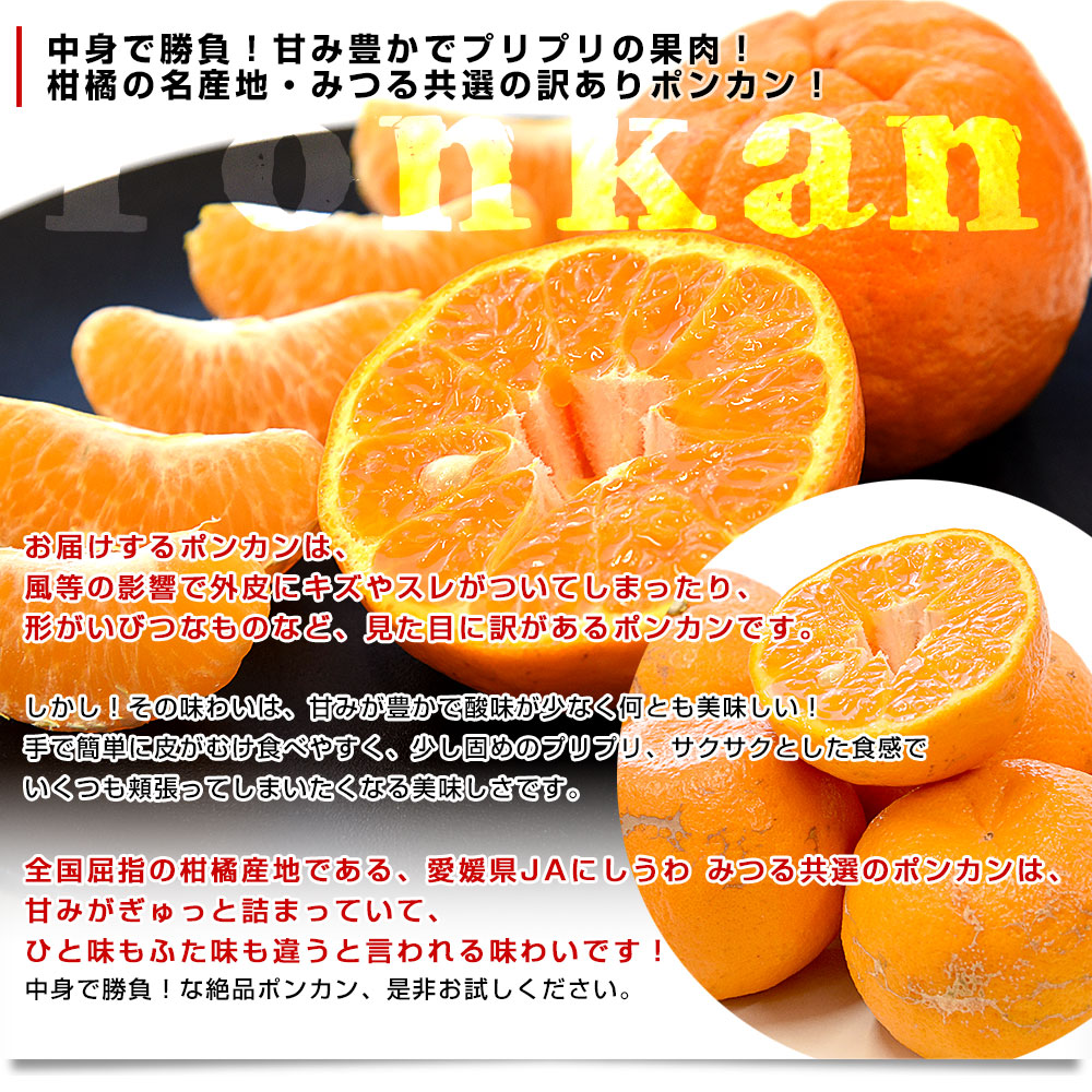 愛媛県産 JAにしうわ みつる共選 ポンカン ご家庭用 2LからLサイズ 約3