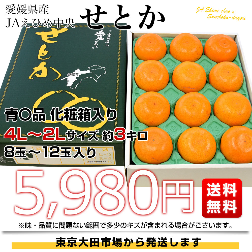 愛媛県産 JAえひめ中央 せとか 青〇品 化粧箱 4Lから2Lサイズ 約3キロ