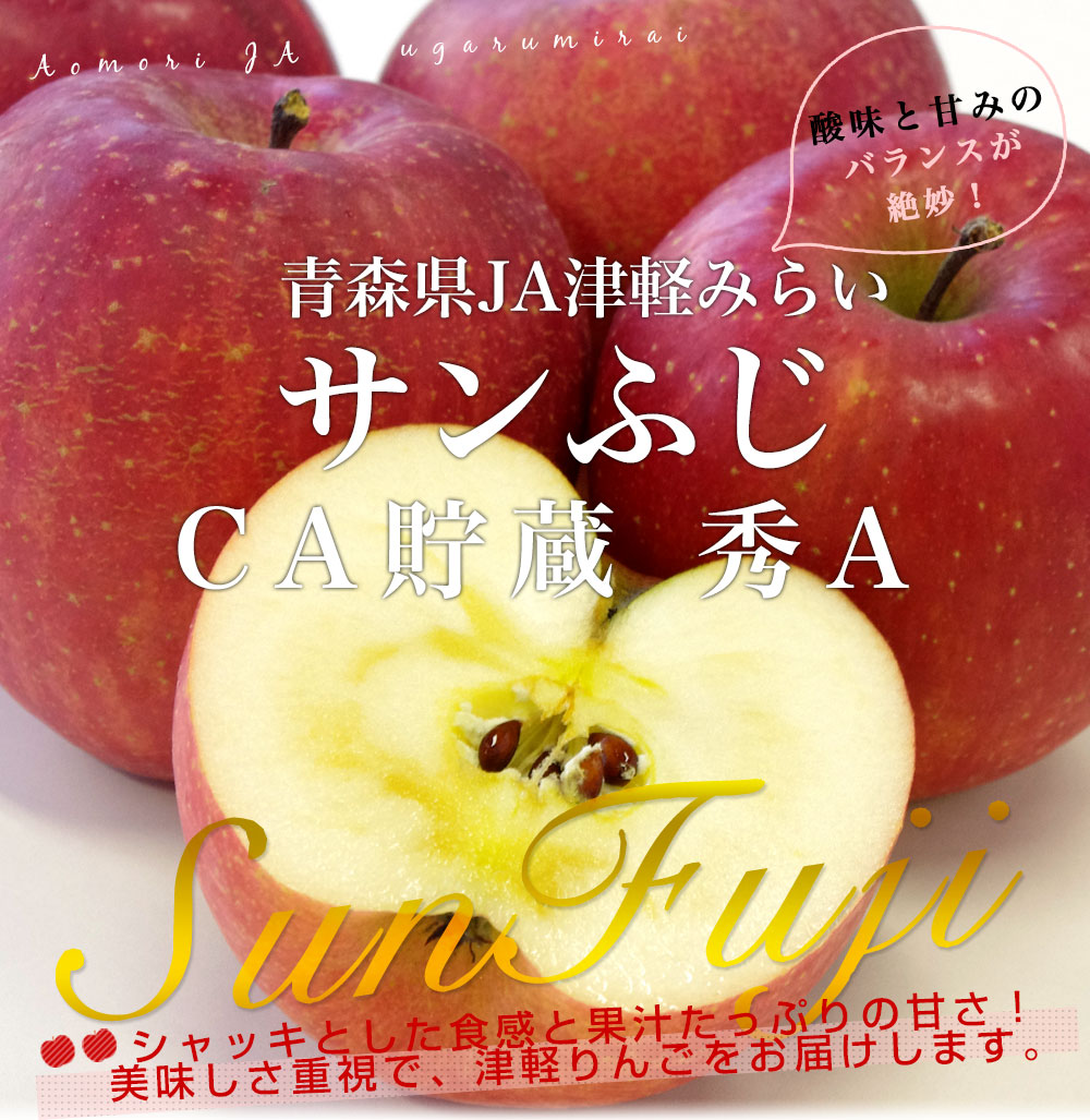 青森県より産地直送 JA津軽みらい サンふじ CA貯蔵 秀A 5キロ (16玉