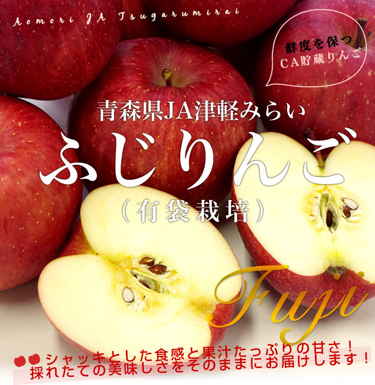 送料無料 青森県より産地直送 JA津軽みらい ふじりんご CA貯蔵品 5キロ