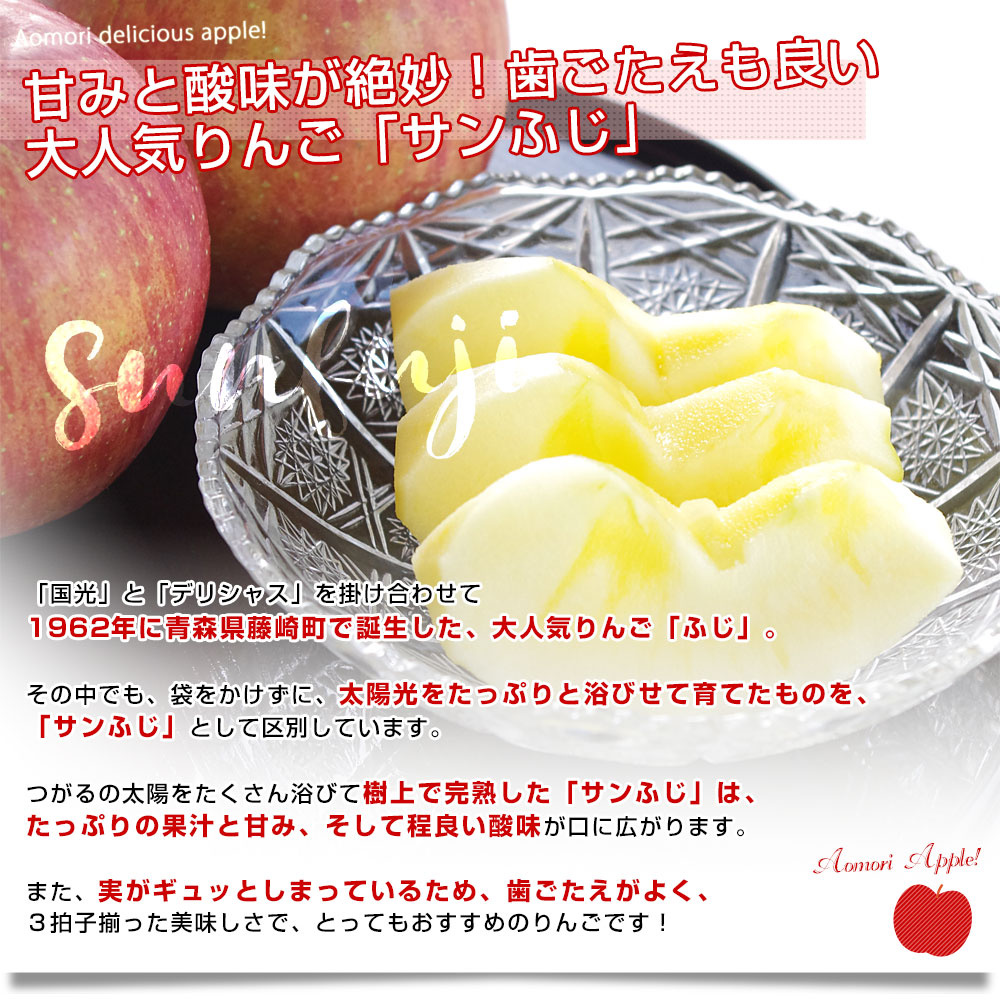 青森県産 JAつがる弘前 サンふじ 約3キロ (12玉) 送料無料 りんご