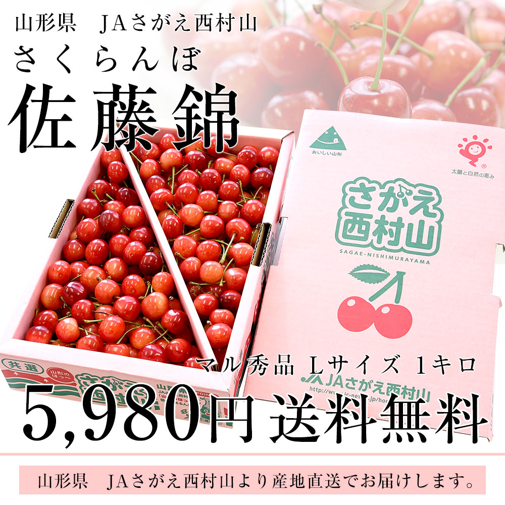 山形から産地直送 山形県JAさがえ西村山「さくらんぼ佐藤錦」 マル秀品