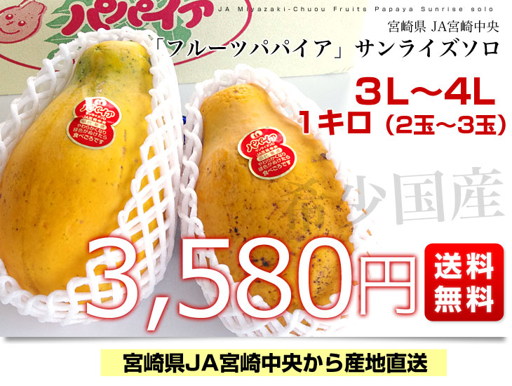 宮崎県より産地直送 JA宮崎中央 フルーツパパイア サンライズソロ 3L