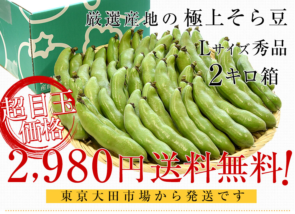 厳選産地の極上そら豆 Lサイズ秀品 2キロ箱 満載詰め そらまめ