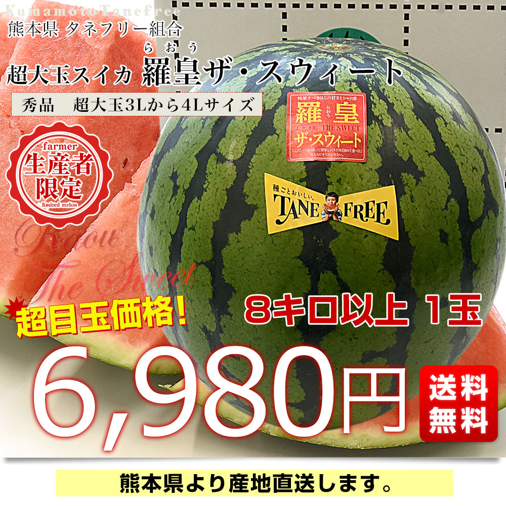 熊本県から産地直送 タネフリー組合 超大玉スイカ「羅皇ザ・スウィート
