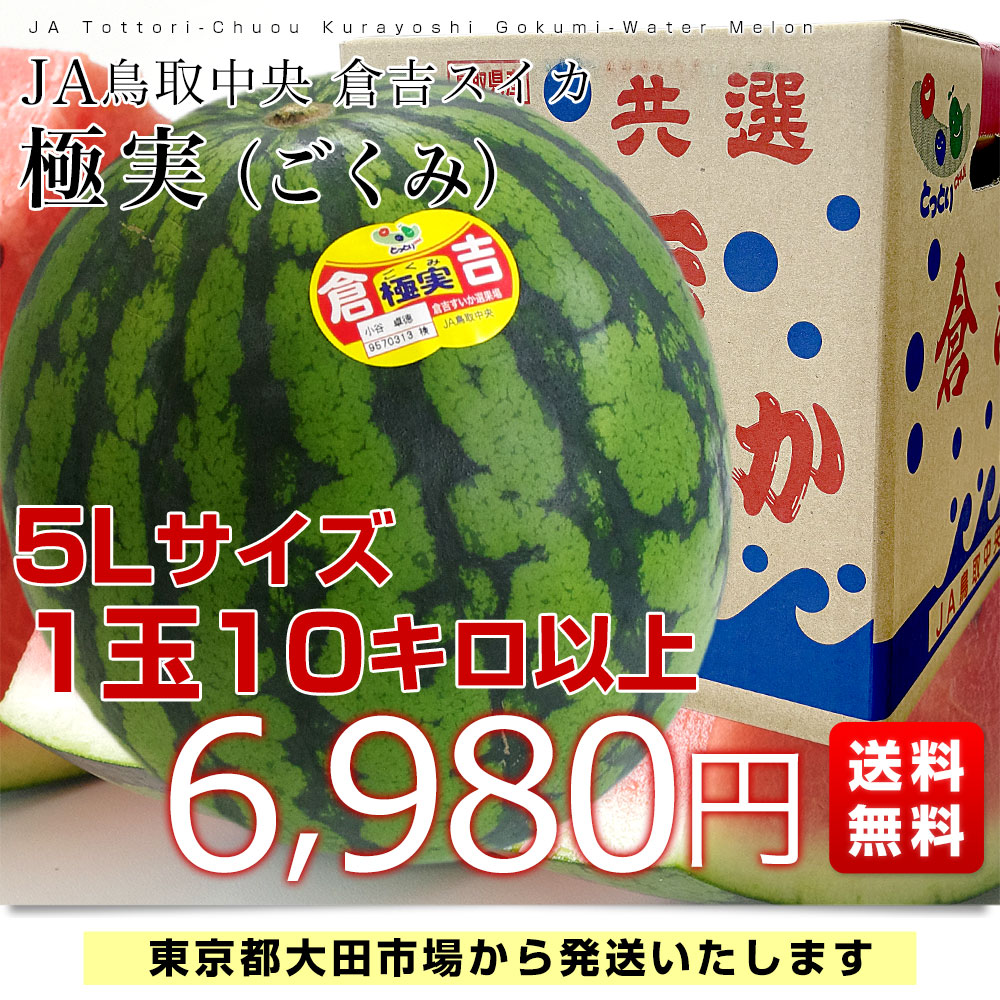 鳥取県産 JA鳥取中央倉吉スイカ 極実（ごくみ） 秀品 特大5Lサイズ