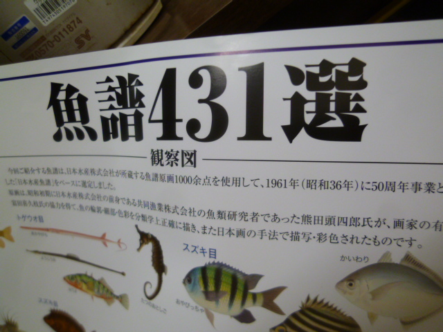 魚譜ポスター 『魚譜431選』（観察図.. - 神戸角打ち学会（至福の