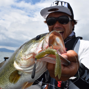 リスペクトカラー3rdステージ（第30弾）CRYSTAL LIME FROG（クリスタル