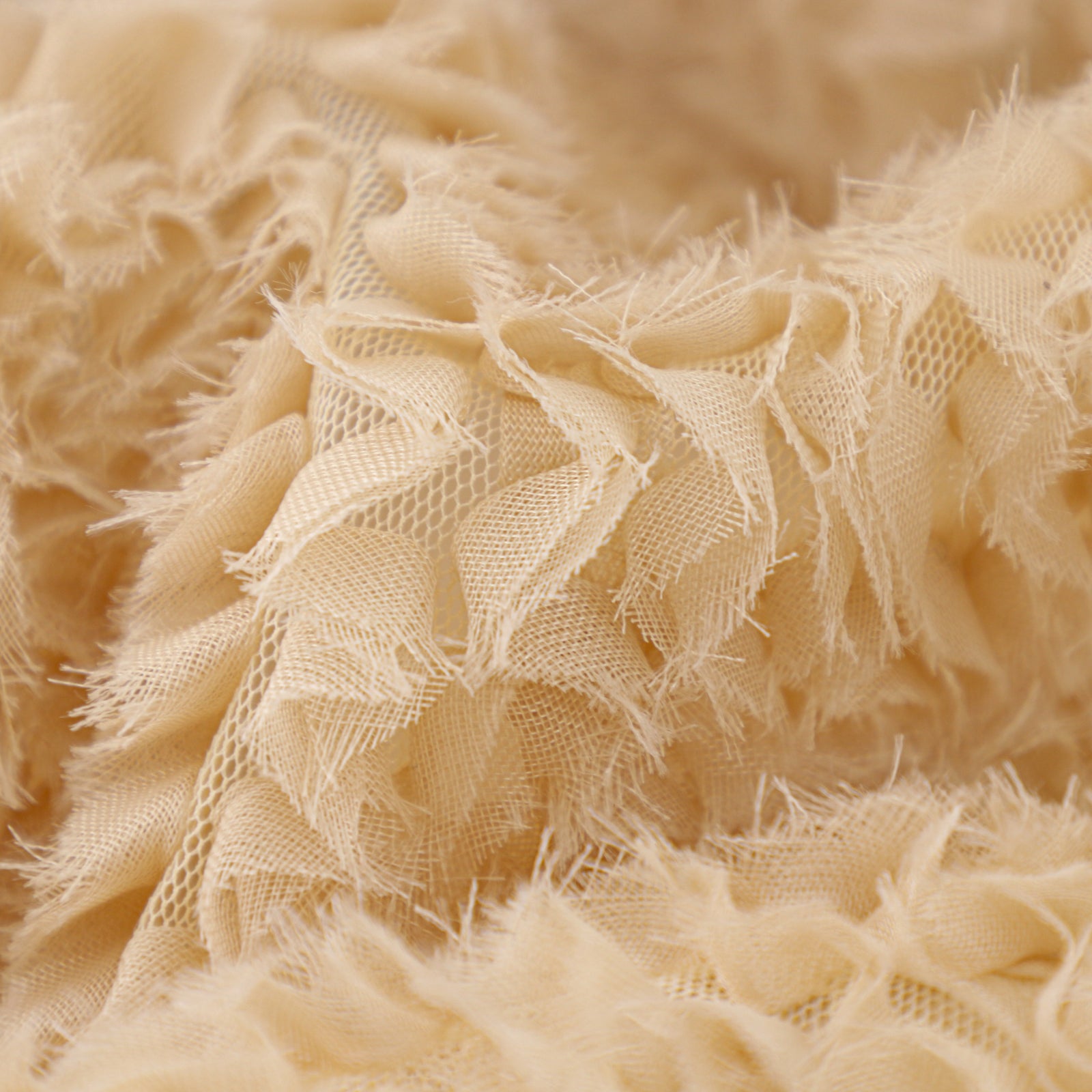 COE】ﾃｰﾌﾟﾁｭｰﾙ刺繍UZUMAKI[017S0G90098] | STYLEM FABRIC STORE