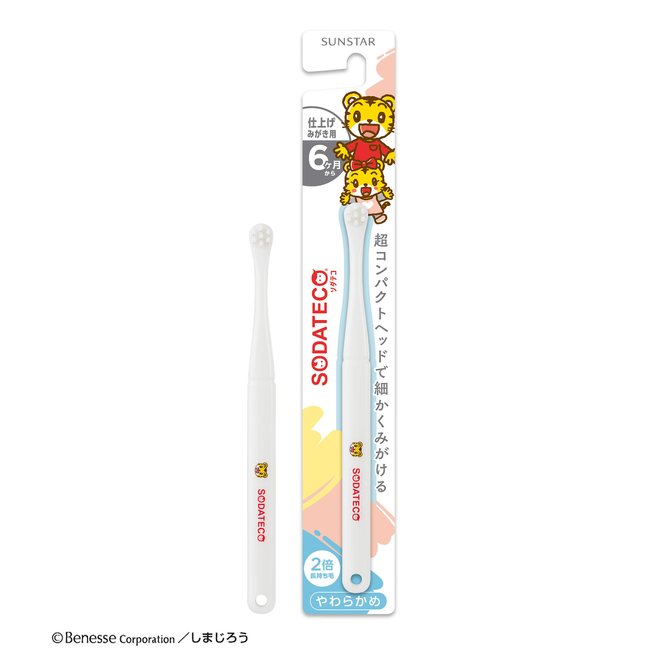 0～6歳が一生の健康に重要な