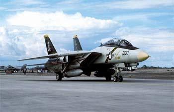 Grumman F-14A TOMCAT 