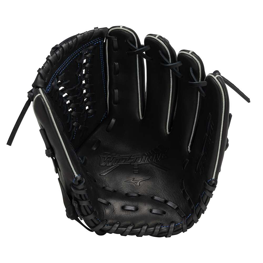 ソフトボール用ウィルドライブ ブルー【オールラウンド用／サイズ10