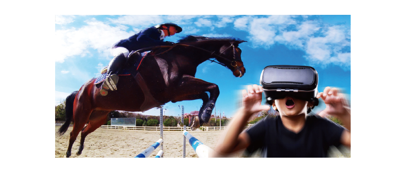 第3回中山競馬(2025年)