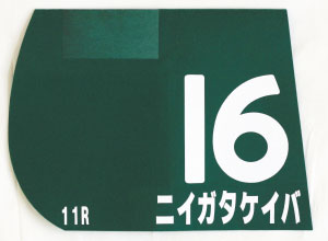 第4回新潟競馬（2022年）