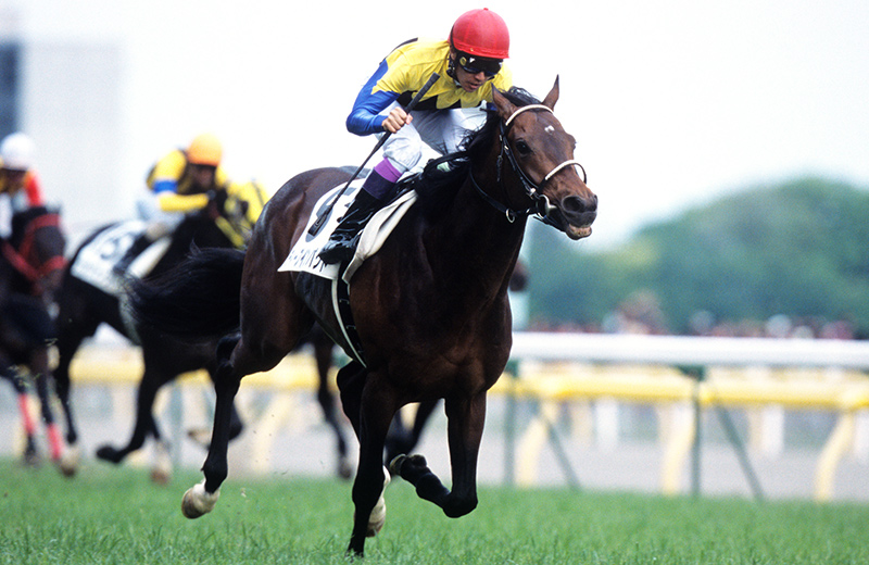 ディープインパクト｜名馬メモリアル｜競馬情報ならJRA-VAN