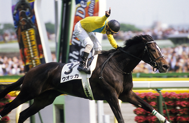 ウオッカ｜名馬メモリアル｜競馬情報ならJRA-VAN