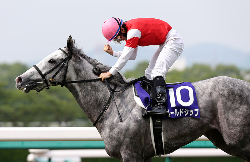 ゴールドシップ｜名馬メモリアル｜競馬情報ならJRA-VAN